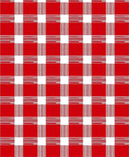 Crimson Buffalo Check Rug