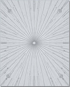 Radiating Sunburst Gray Line Art Rug