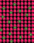 Hot Pink Black Plaid Sunburst Splatter Rug