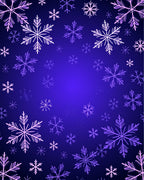 Winter Blue Snowflake Blanket Rug