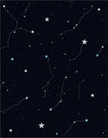 Deep Blue Night Sky Starry Constellation Rug