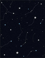 Deep Blue Night Sky Starry Constellation Rug