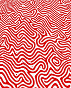Bold Red Maze Curving Lines Rug