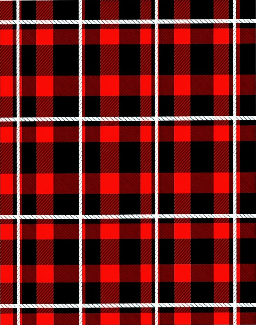 Bold Red Black Plaid Texture Rug