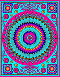 Vibrant Pink Teal Sunburst Medallion Rug
