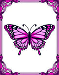 Vibrant Pink Butterfly Ornamental Frame Rug