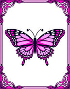 Vibrant Pink Butterfly Ornamental Frame Rug