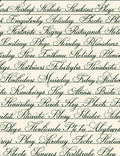 Script Text Lines Rug