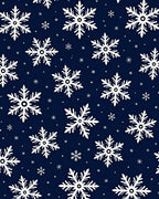 Winter White Snowflake Navy Blue Rug