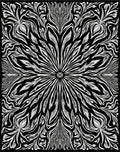 Monochromatic Black White Floral Rays Rug