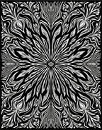 Monochromatic Black White Floral Rays Rug