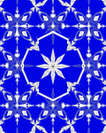 Striking Blue White Floral Geometric Repeats Rug