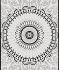 Black White Radial Mandala Rug