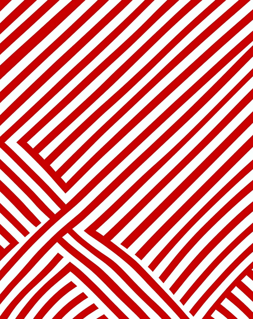 Bold Red White Intersecting Stripes Rug