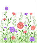 Vibrant Coral Purple Daisy Meadow Rug