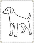 Playful Thin Line Dog Portrait Rug
