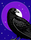 Mysterious Black Crow Moonlit Sky Rug