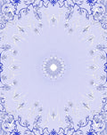 Elegant Blue White Floral Mandala Rug