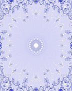 Elegant Blue White Floral Mandala Rug