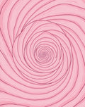 Blush Pink Swirl Rose Aura Rug