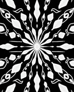 Monochromatic White Symmetric Floral Inlay Rug