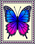 Vibrant Blue Purple Butterfly Border Rug