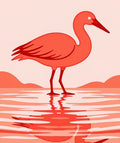 Coral Ibis Reflecting in Water Rug