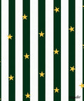 Green White Stripe Gold Star Rug