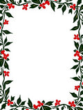 Red Berry Vine Border Rug