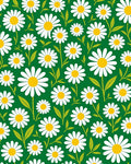 White Daisy Green Field Floral Rug