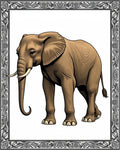 Majestic Brown Elephant Tribal Border Rug