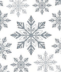 Winter Snowflake Medallion Silver Rug