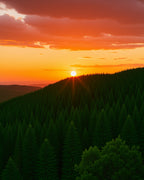 Sunset Forest Green Pine Horizon Rug