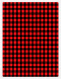 Classic Red Black Gingham Squares Rug