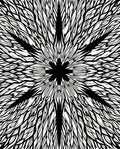 Black White Starburst Organic Textures Rug