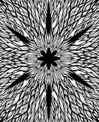 Black White Starburst Organic Textures Rug