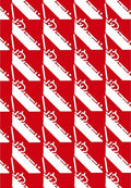 Bold Red Diagonal Stripe Geometric Rug