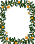 Green Pine Orange Blossom Star Border Rug
