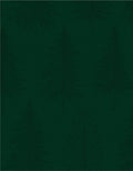 Dark Green Pine Forest Repeating Rug