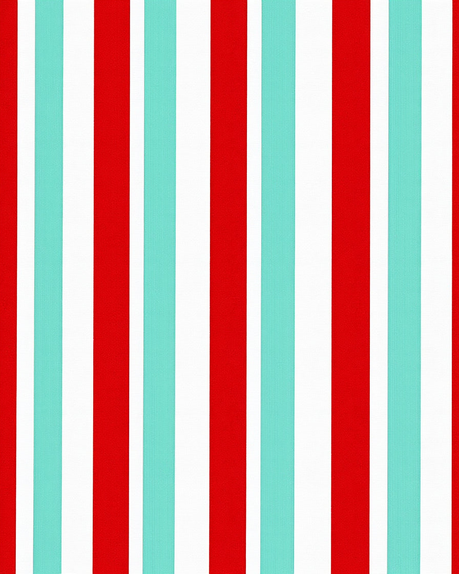 Bold Red Aqua Stripe Rug