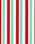 Bold Red Aqua Stripe Rug