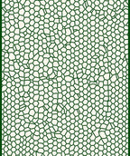 Organic Green Honeycomb Network Rug