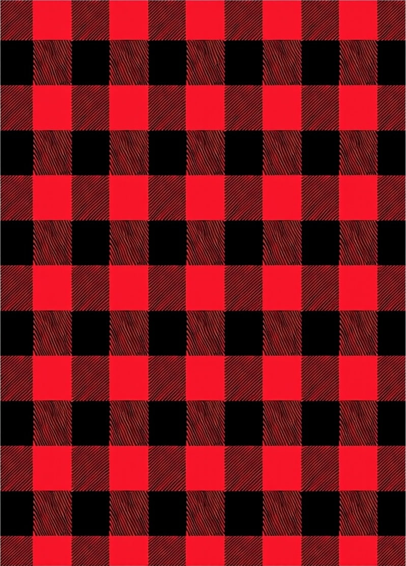 Crimson Black Gingham Weave Fabric Rug