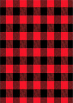 Crimson Black Gingham Weave Fabric Rug