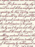 Ornate Script Red on Cream Rug