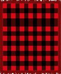 Bold Red Black Gingham Squares Rug