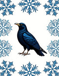 Bold Blue Bird Snowflake Frame Rug