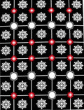 Black White Red Floral Medallion Accent Rug