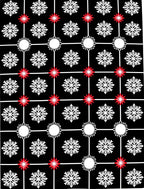 Black White Red Floral Medallion Accent Rug