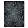 Silver Dewy Cobweb Arrangement Rug